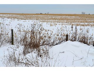 Property photo 27 - AUCTION, 206 Contiguous Acres offered in 5 Tracts